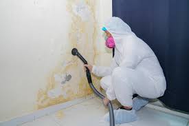 Best Mold Prevention Services  in USA